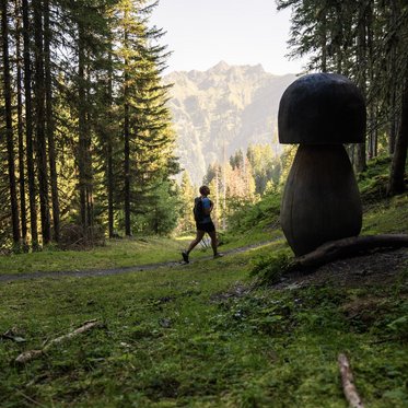 Der Pilzweg in Dorfgastein am Fulseck ist seht lehrreich