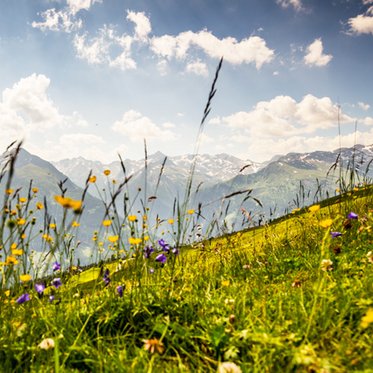 Panoramabild vom Gasteinertal im Sommer