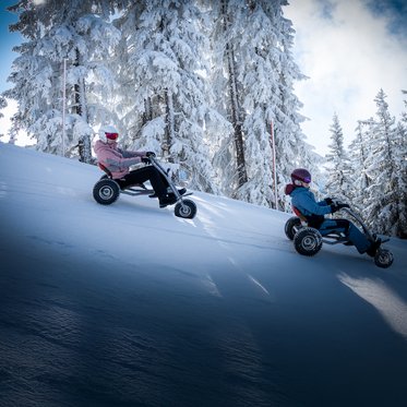 Early Winter Mountaincart am Fulseck