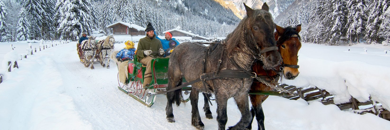 Pferdeschlittenfahrt durch Gastein