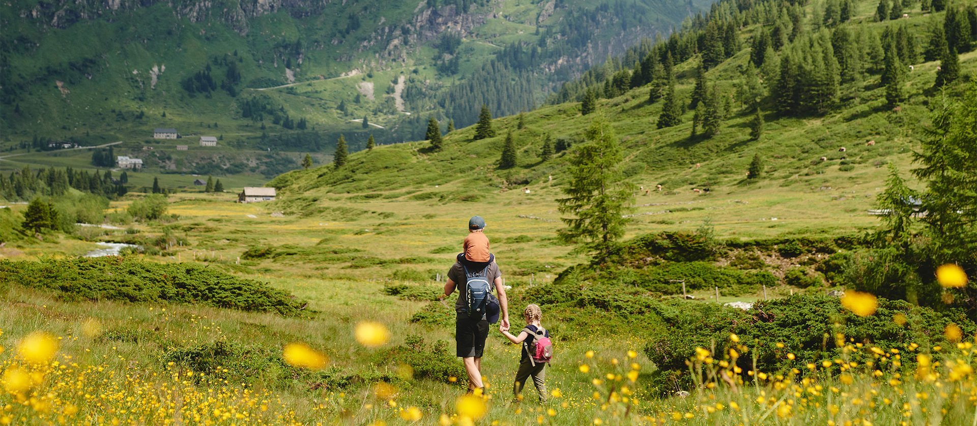 Familie wandert durch Almwiesen im Gasteinertal mit Blick auf die Alpen im Salzburger Land