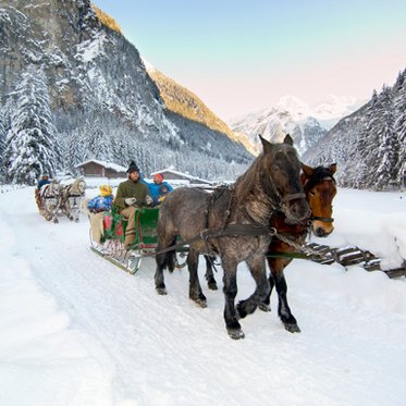 Pferdeschlittenfahrt durch Gastein