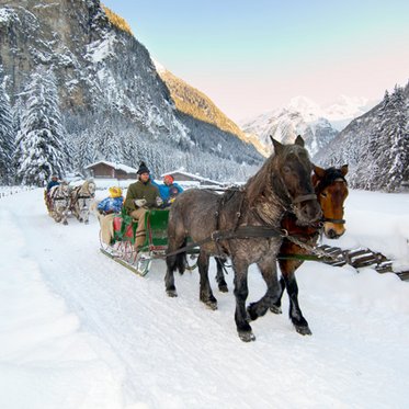 Pferdeschlittenfahrt durch Gastein