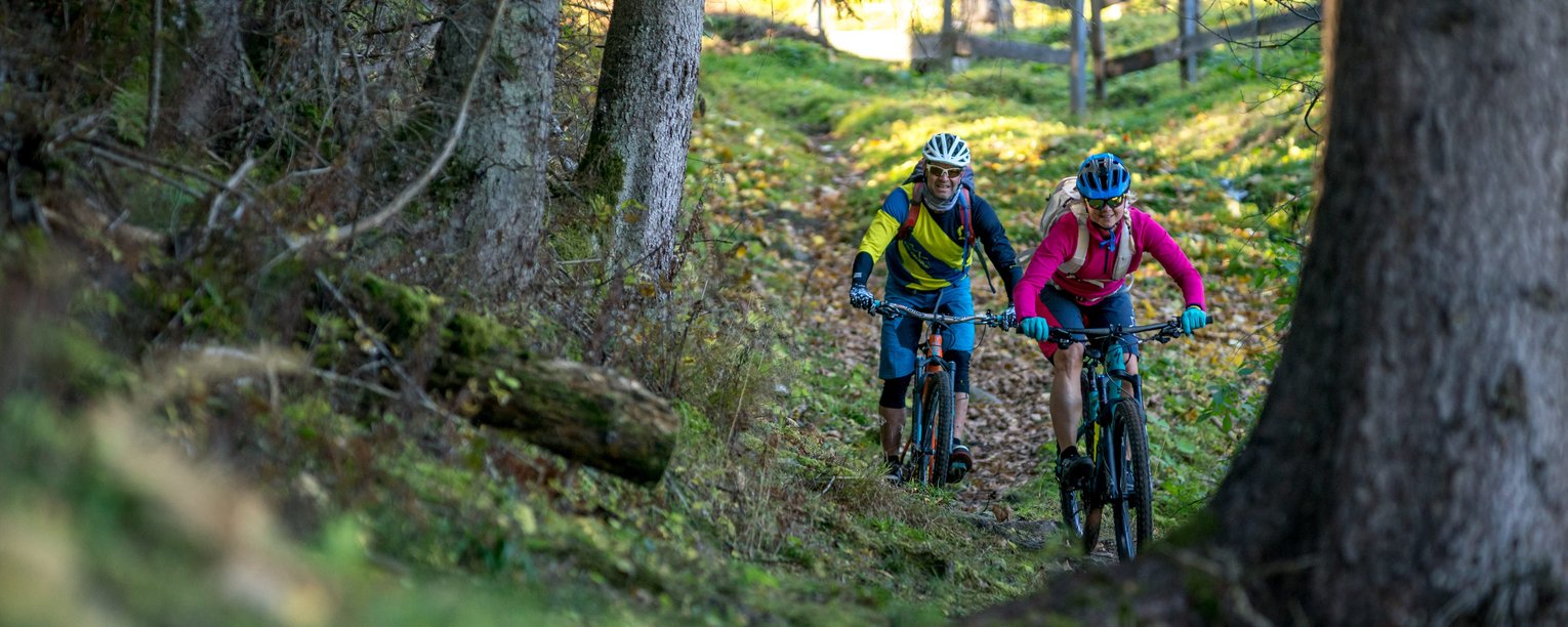 Mountainbiker im Wald in Gastein
