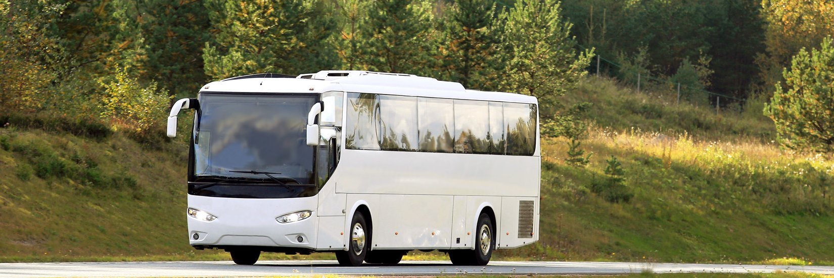 Bus auf einer Landstraße