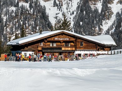 Wengeralm Dorfgastein