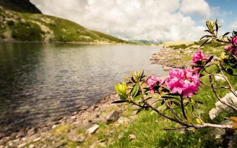 Palfnersee 1
