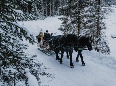 Fiaker Lederer Winter