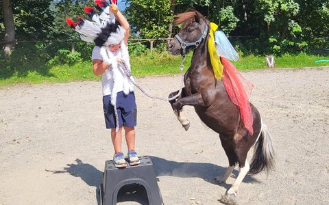 Pony2