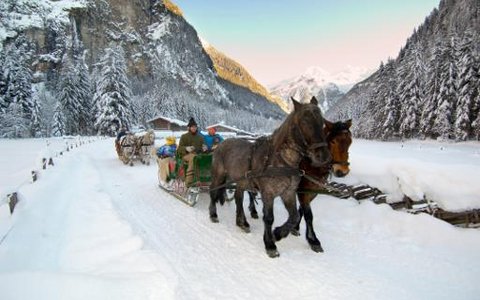 Pferdeschlittenfahrt-im-Koetschachtal.jpg