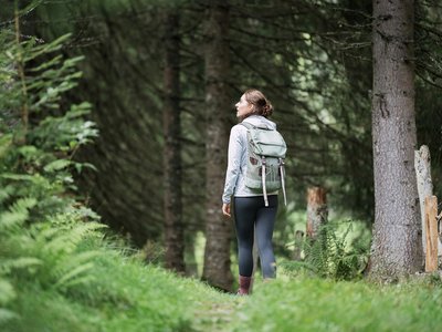 Green Exercise