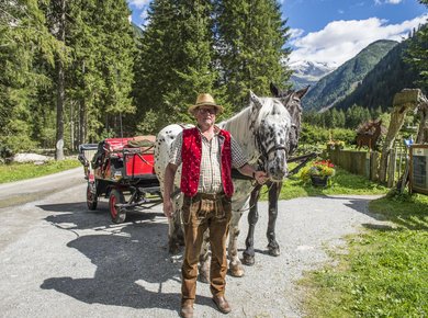 Pferdekutsche Sommer Koetschachtal Bad Gastein (c)