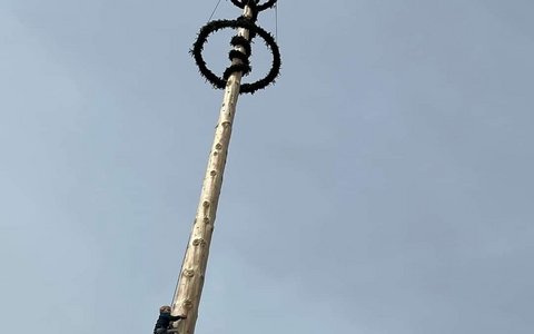 Maibaum-Dorfgastein.jpg