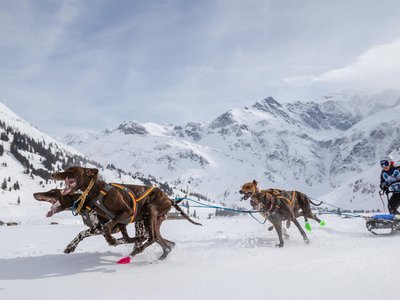 Schlittenhunderennen