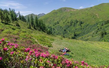 Berge &amp; Therme Sommer