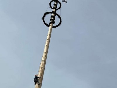 Maibaum Dorfgastein