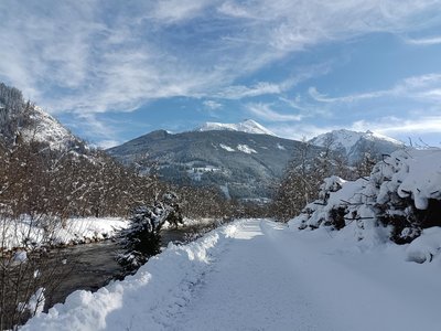 Elisabeth Promenade 1