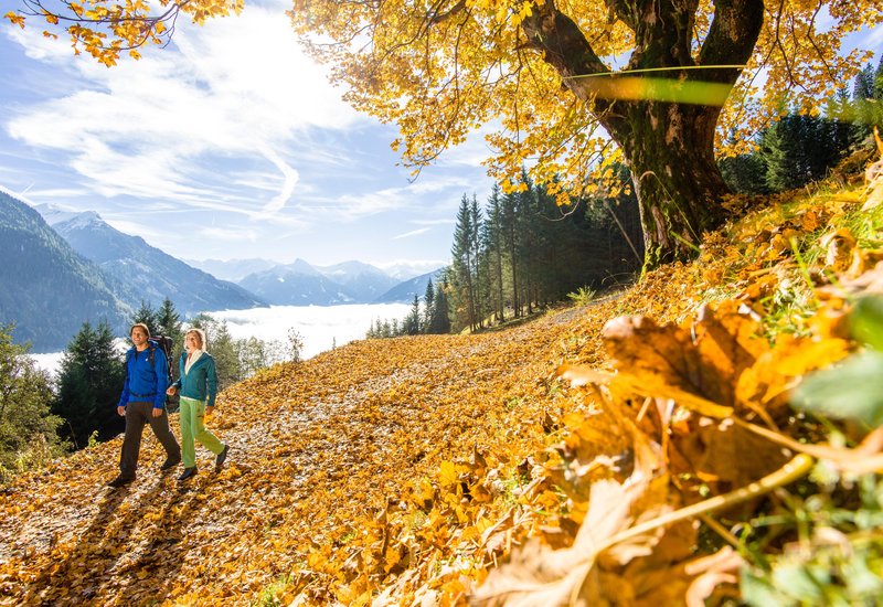 Herbst Berge &amp; Therme Wanderung