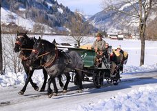 Pferdeschlitten-Dorfgastein-Torbauer.jpg