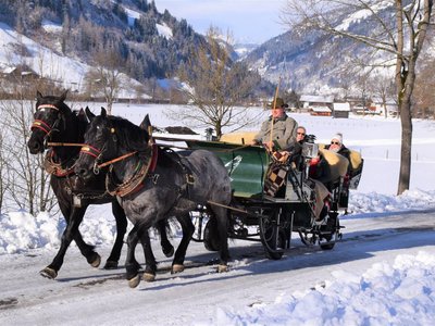 Pferdeschlitten Dorfgastein Torbauer