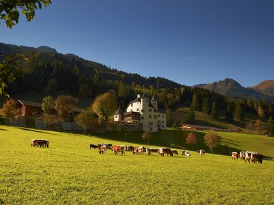 Almabtrieb