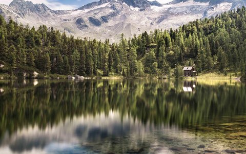 Reedsee-Sommer.jpg