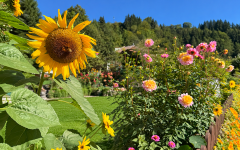 Blumen