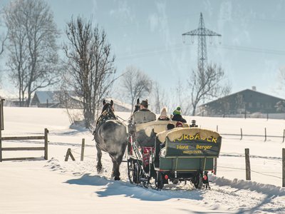 Pferdeschlitten Dorfgastein Torbauer
