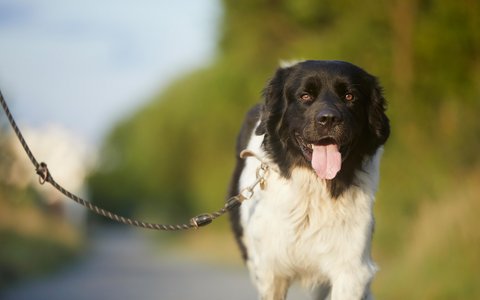 Social Walk Sommer