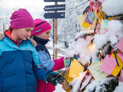 Adventmarkt