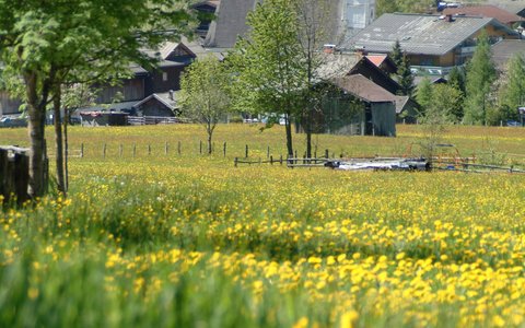 Kirchblick