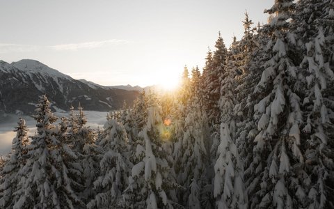 Impressionen-Winterwald.jpg