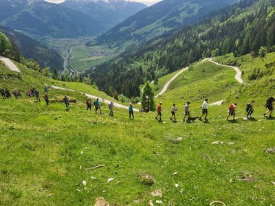 BUM-Wandertag Dorfgastein