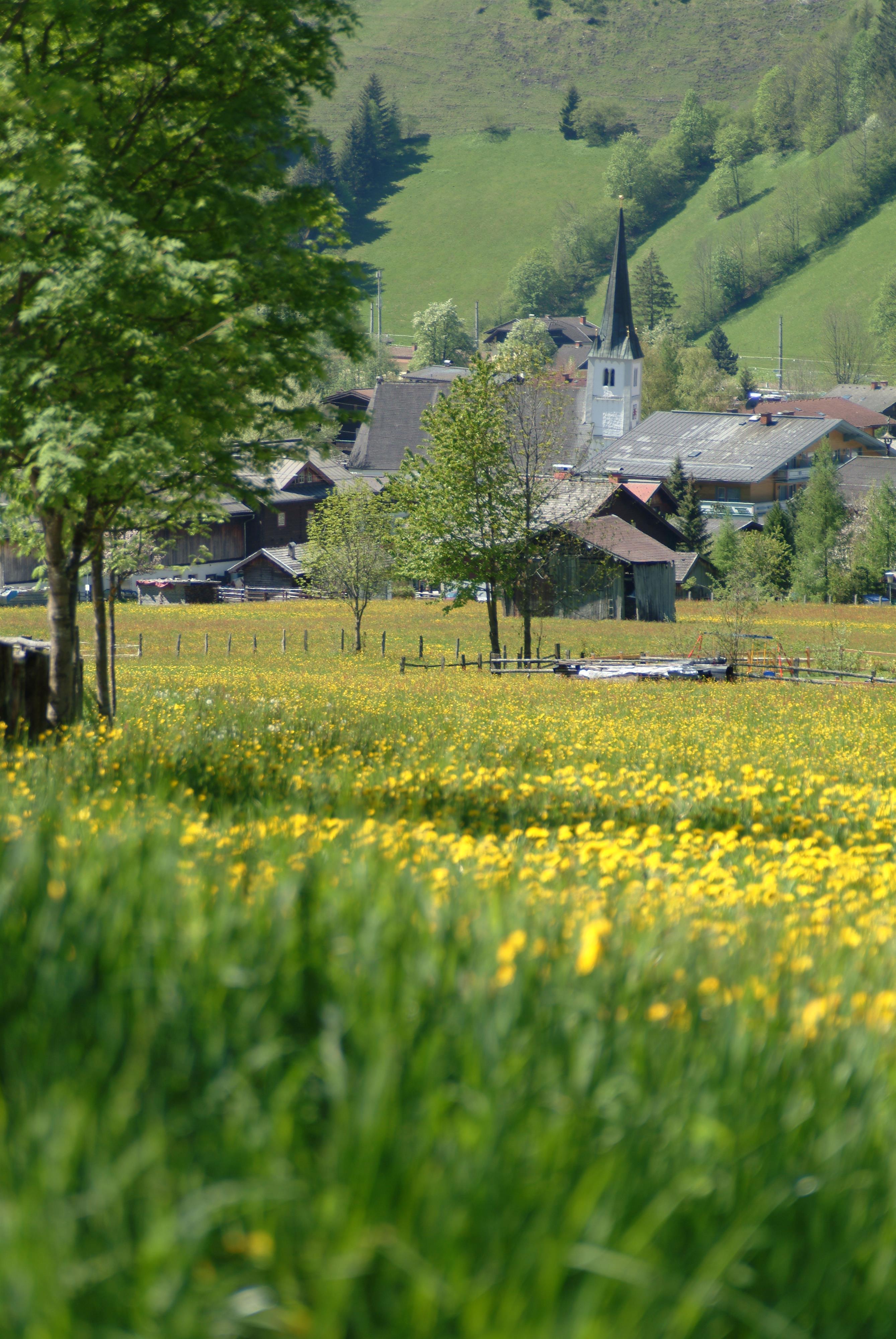 Kirchblick.jpg