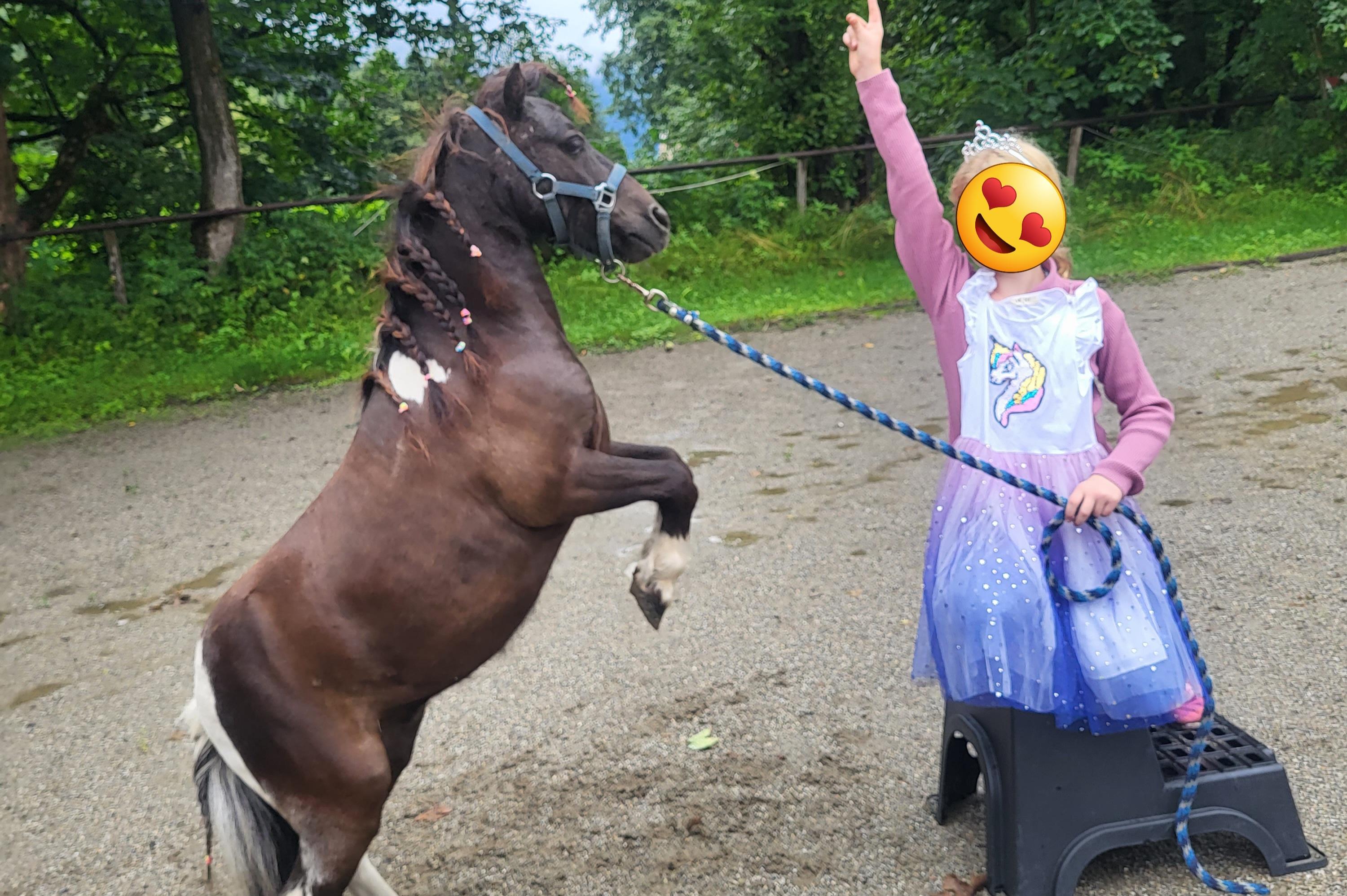 Pony.jpg